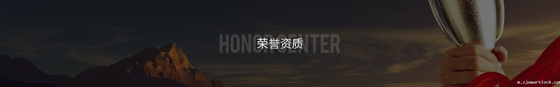 荣誉资质